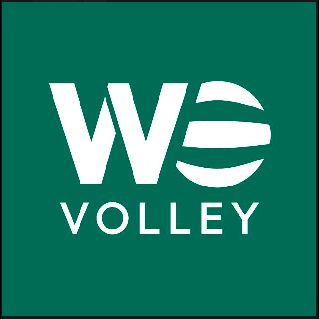 WeVolley Logo